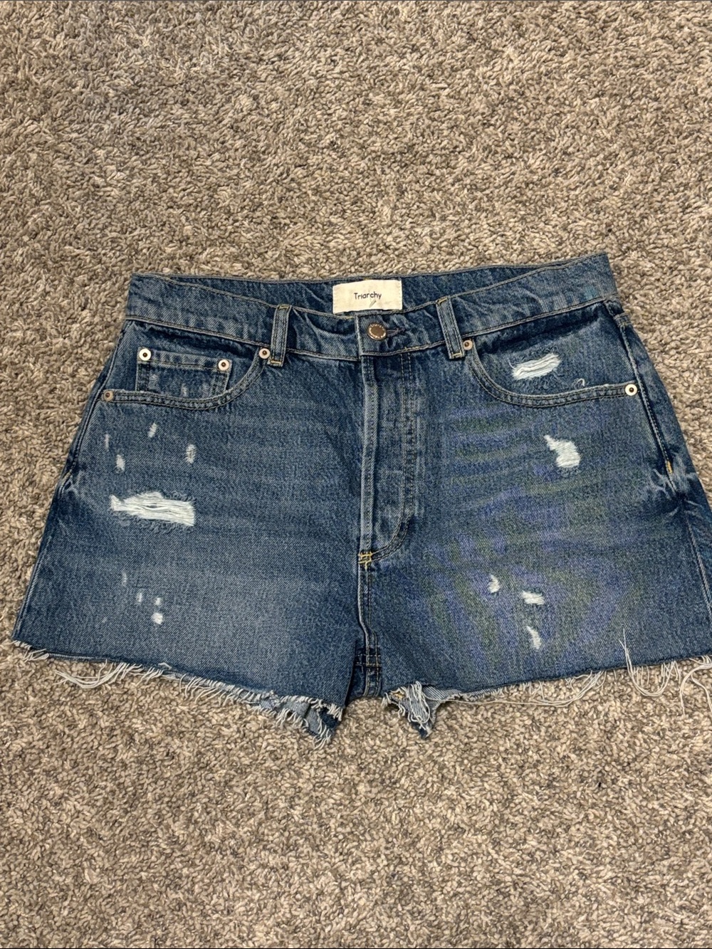 Triarchy Distressed Denim Shorts 28